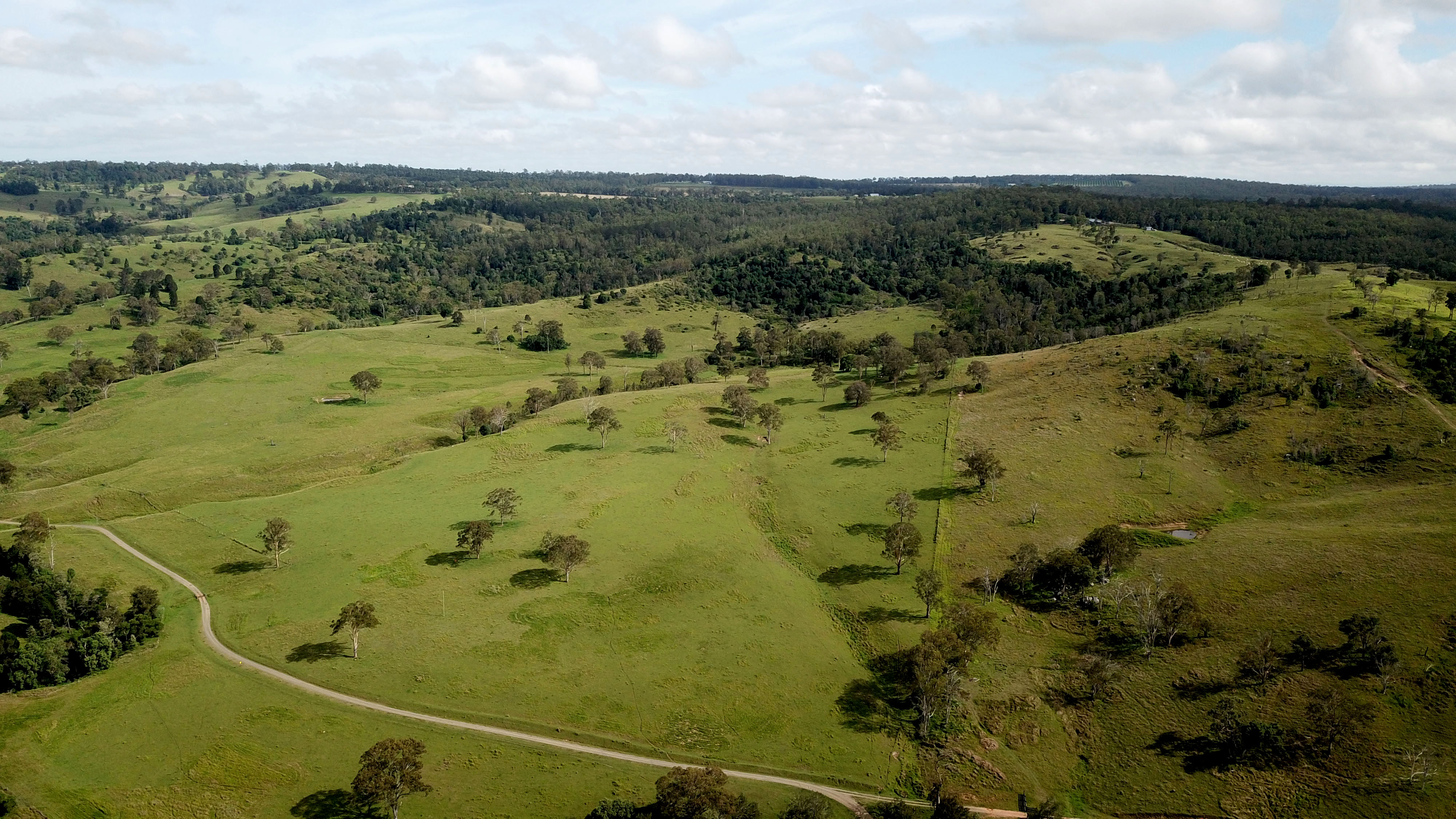 DJI_0028